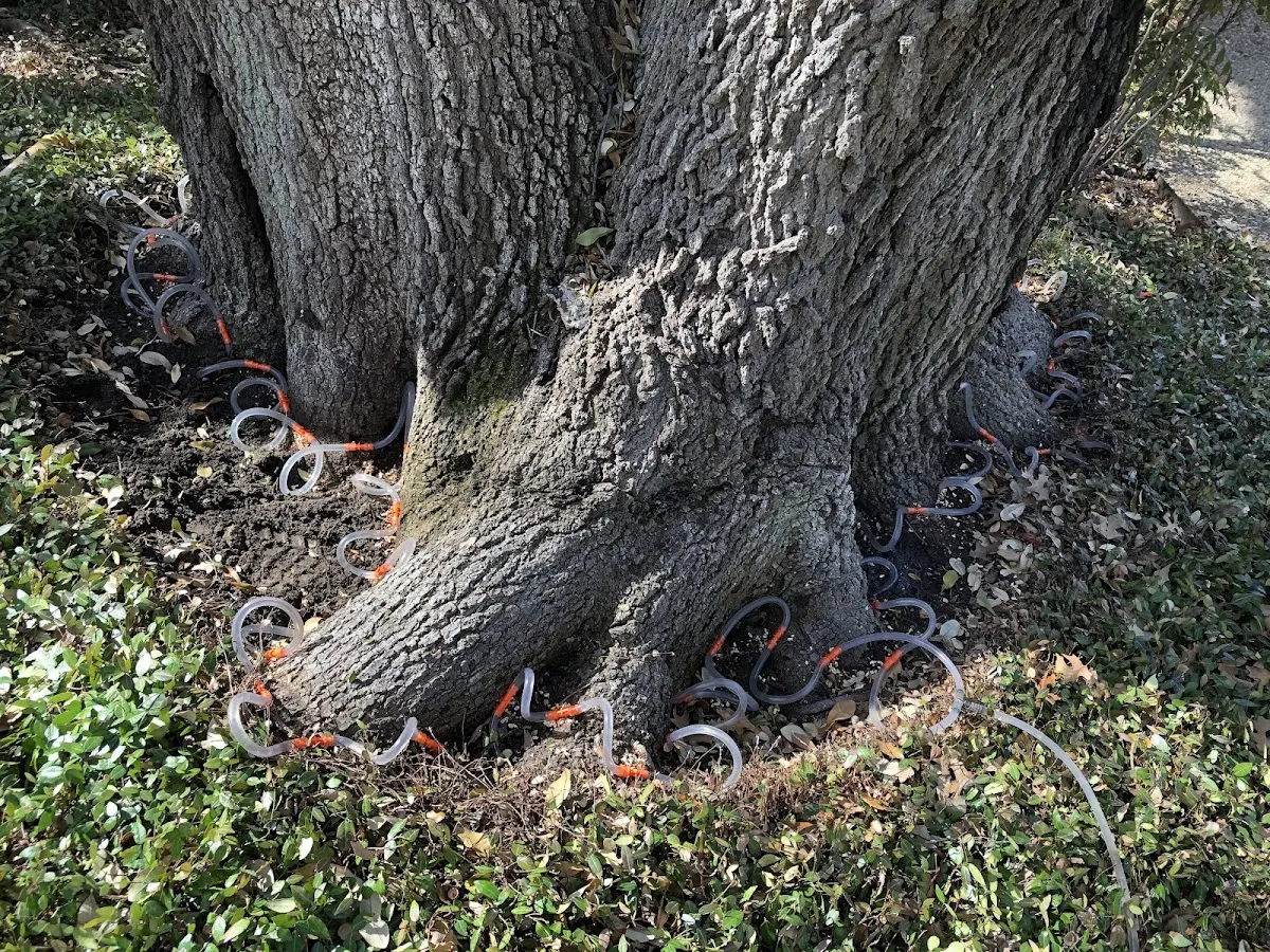 Detailed Shrub and Hedge Trimming job site in La Barge