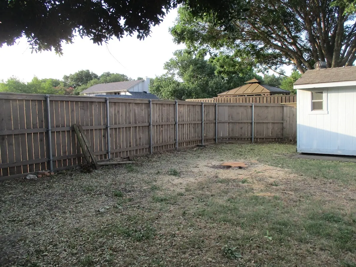 Cleared yard after professional tree removal in La Barge